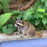 ヒメ日記 2025/08/13 19:01 投稿 ここ ラブストーリー池袋(ユメオト)