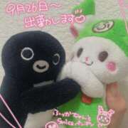 ヒメ日記 2025/09/13 20:57 投稿 ここ ラブストーリー池袋(ユメオト)