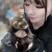 リオ フェレット飼૮ .  ̫ . ა♡ ロボットデリヘル川越基地