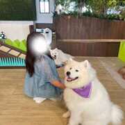 ヒメ日記 2025/07/24 15:21 投稿 まどかさん いけない奥さん 梅田店