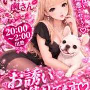 ヒメ日記 2026/09/06 20:21 投稿 まどかさん いけない奥さん 梅田店