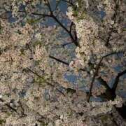 ヒメ日記 2026/04/04 22:09 投稿 みれい 贅沢なひと時