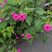 ヒメ日記 2025/10/03 21:11 投稿 るい Ronno（ロンノ）