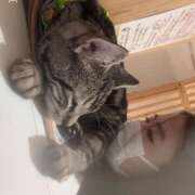 ヒメ日記 2025/10/16 21:10 投稿 るい Ronno（ロンノ）