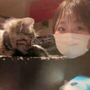 ヒメ日記 2025/11/27 21:15 投稿 るい Ronno（ロンノ）