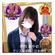 ヒメ日記 2025/11/13 11:41 投稿 伊吹 あやの アリス女学院 日本橋校