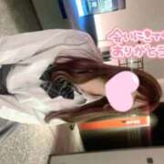 ヒメ日記 2026/02/07 00:00 投稿 花畑 つきみ アリス女学院 日本橋校