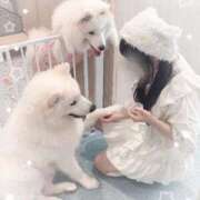 ヒメ日記 2025/09/01 12:21 投稿 星空 かのん アリス女学院 日本橋校