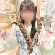 ヒメ日記 2025/12/31 19:10 投稿 星空 かのん アリス女学院 日本橋校