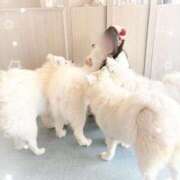 ヒメ日記 2026/01/19 22:19 投稿 星空 かのん アリス女学院 日本橋校