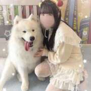 ヒメ日記 2026/01/28 20:08 投稿 星空 かのん アリス女学院 日本橋校