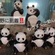 ヒメ日記 2025/09/01 21:40 投稿 徳永 鶯谷人妻城