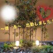 徳永 徳永を見つけてね！ 鶯谷人妻城