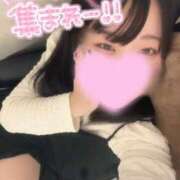 ゆずは カリカリ……/// Ｓ＆Ｍ極嬢