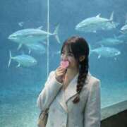 ヒメ日記 2026/01/12 21:03 投稿 ろい 私のブラジャーどこいった？