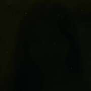 ヒメ日記 2026/06/04 13:49 投稿 ろい 私のブラジャーどこいった？