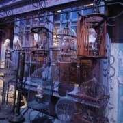 恵比寿 今日出勤です！ 熟女の風俗最終章 横浜本店