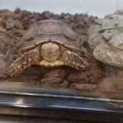 ヒメ日記 2026/04/13 09:32 投稿 恵比寿 熟女の風俗最終章 横浜本店