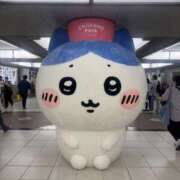 ヒメ日記 2025/08/14 18:15 投稿 ゆゆ 私のブラジャーどこいった？