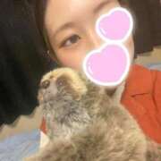 ヒメ日記 2025/09/15 15:44 投稿 ちふゆ ラブライフさいたま