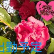 ヒメ日記 2025/07/24 21:43 投稿 庄司　まり YUDEN〜油殿〜谷九・日本橋店