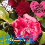 ヒメ日記 2025/09/16 19:31 投稿 庄司　まり YUDEN〜油殿〜谷九・日本橋店