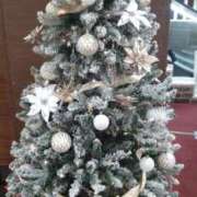 ヒメ日記 2025/12/13 14:43 投稿 庄司　まり YUDEN〜油殿〜谷九・日本橋店