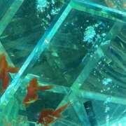 ヒメ日記 2025/08/03 15:57 投稿 すず ふわもこ人妻ランド　那須塩原店