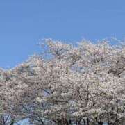 ヒメ日記 2026/04/05 15:06 投稿 すず ふわもこ人妻ランド　那須塩原店