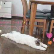 ヒメ日記 2025/09/17 07:13 投稿 みどり(昭和41年生まれ) 熟年カップル名古屋～生電話からの営み～