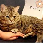 ヒメ日記 2025/09/18 17:47 投稿 みどり(昭和41年生まれ) 熟年カップル名古屋～生電話からの営み～