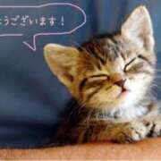 ヒメ日記 2025/09/19 13:11 投稿 みどり(昭和41年生まれ) 熟年カップル名古屋～生電話からの営み～