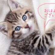 ヒメ日記 2025/09/21 12:29 投稿 みどり(昭和41年生まれ) 熟年カップル名古屋～生電話からの営み～