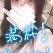 ヒメ日記 2025/11/24 23:16 投稿 いちご マリン宇都宮店