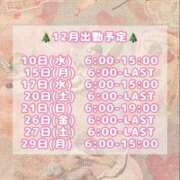 ヒメ日記 2025/12/09 12:20 投稿 いちご マリン宇都宮店
