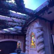 ヒメ日記 2025/07/22 00:01 投稿 こるね 僕らのぽっちゃリーノin越谷