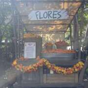 ヒメ日記 2025/09/27 22:40 投稿 こるね 僕らのぽっちゃリーノin野田