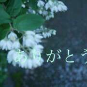 ヒメ日記 2025/08/06 01:18 投稿 いずみ ちゃんこ本厚木店
