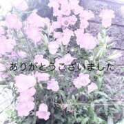 ヒメ日記 2025/08/23 20:17 投稿 いずみ ちゃんこ本厚木店