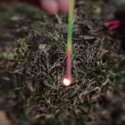 ヒメ日記 2025/08/18 08:00 投稿 相武 紗季 熟女・人妻マダム宮殿