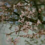 ヒメ日記 2026/03/30 12:01 投稿 相武 紗季 熟女・人妻マダム宮殿