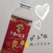 広瀬 しほ おはようございます☆ 大奥 難波店