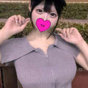 ヒメ日記 2025/10/29 11:33 投稿 えなみ ヤリマン確定！完全好き放題！