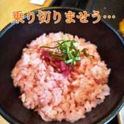 ヒメ日記 2025/07/27 14:19 投稿 ことは 熟女の風俗最終章 新潟店