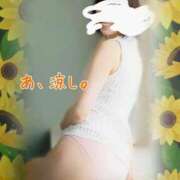 ヒメ日記 2025/08/21 21:51 投稿 ことは 熟女の風俗最終章 新潟店