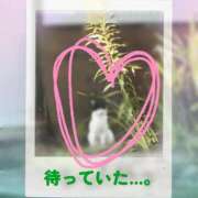 ヒメ日記 2025/08/24 21:09 投稿 ことは 熟女の風俗最終章 新潟店