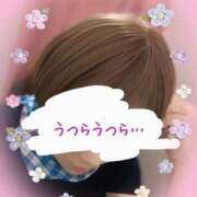 ヒメ日記 2025/08/25 09:09 投稿 ことは 熟女の風俗最終章 新潟店