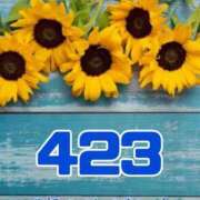 ヒメ日記 2025/09/02 15:59 投稿 ことは 熟女の風俗最終章 新潟店