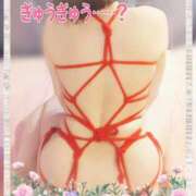 ヒメ日記 2025/09/10 09:20 投稿 ことは 熟女の風俗最終章 新潟店