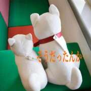 ヒメ日記 2025/09/21 14:07 投稿 ことは 熟女の風俗最終章 新潟店